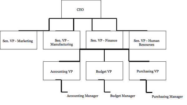 A tall organization. the CEO is in charge of a set of four senior vice presidents, in charge of marketing, manufacturing, finance, and human resources. Below the senior vice presidents are vice presidents in charge of accounting, budget, and purchasing. Below these are managers in charge of each respective department.