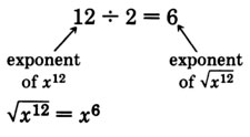 Twelve divided by two is equal to six. There is an arrow pointing  towards twelve that is labeled as 