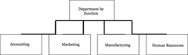Department by function, divided into four sections: accounting, marketing, manufacturing, and human resources.