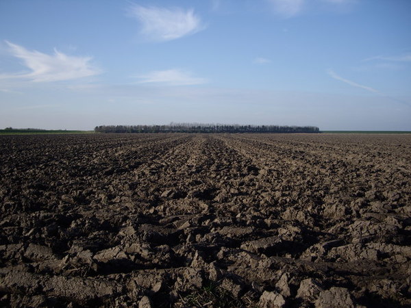 a picture of tilled soil